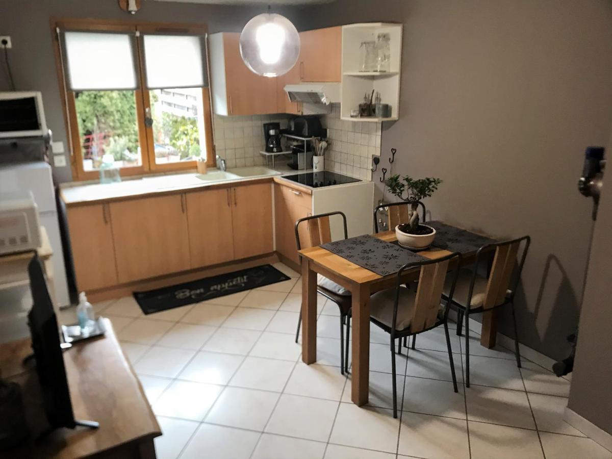 Charmant Appartement 2-4 Personnes Entre Annecy Et Aravis Thônes Esterno foto
