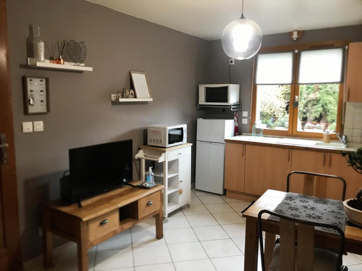 Charmant Appartement 2-4 Personnes Entre Annecy Et Aravis Thônes Esterno foto